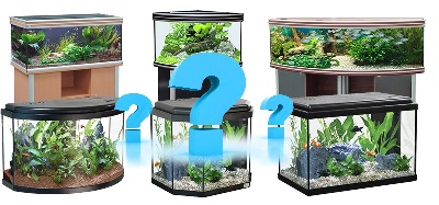 Как правильно выбрать аквариум